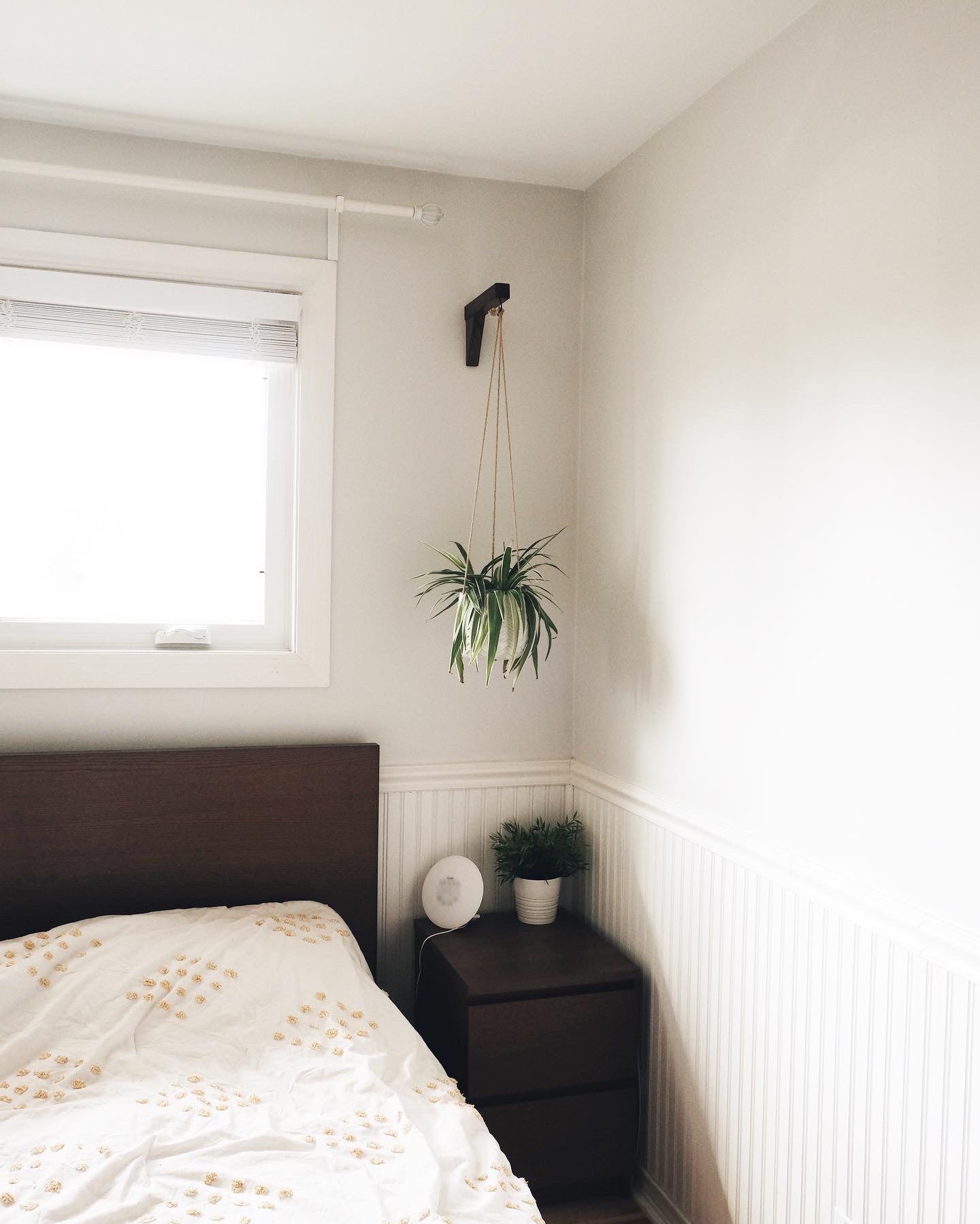 Walnut Plant Hanger