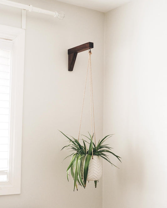 Walnut Plant Hanger